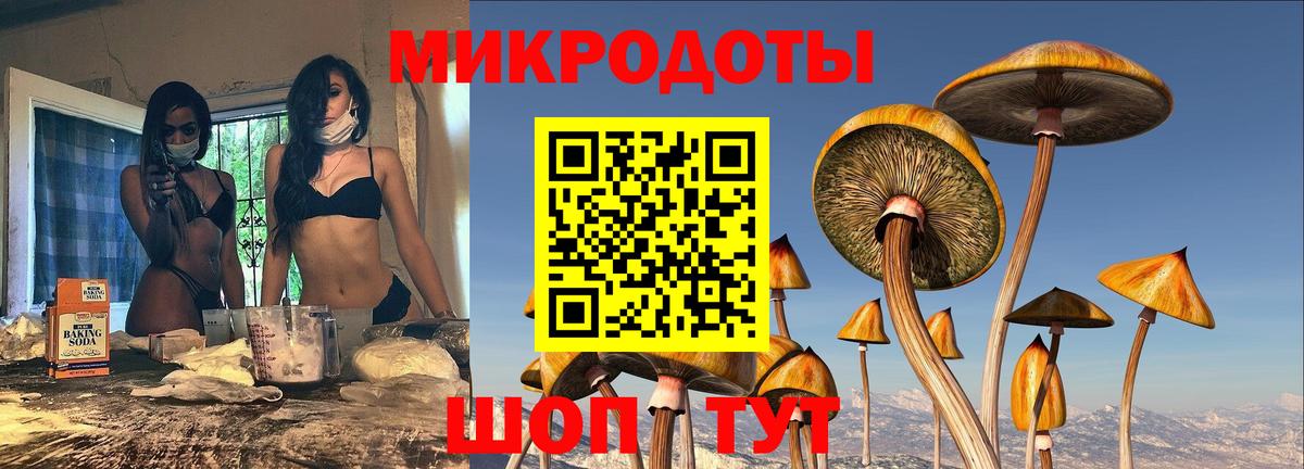 Галлюциногенные грибы прущие грибы Котельники